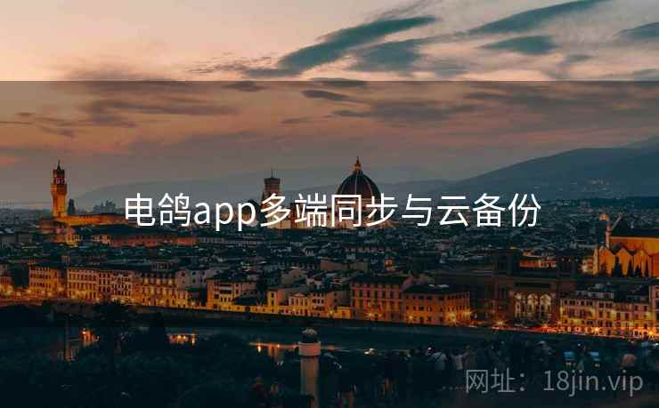 电鸽app多端同步与云备份 第2张 电鸽app多端同步与云备份 第2张