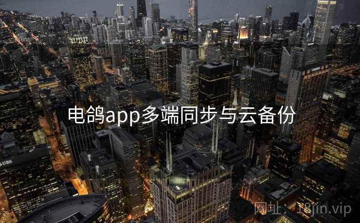 电鸽app多端同步与云备份 第1张 电鸽app多端同步与云备份 第1张