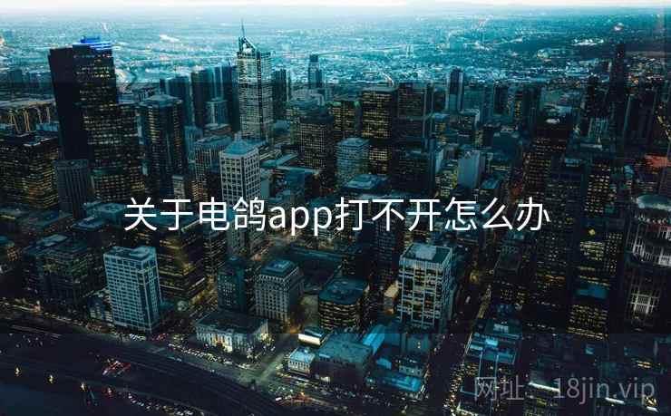 关于电鸽app打不开怎么办 第1张 关于电鸽app打不开怎么办 第1张