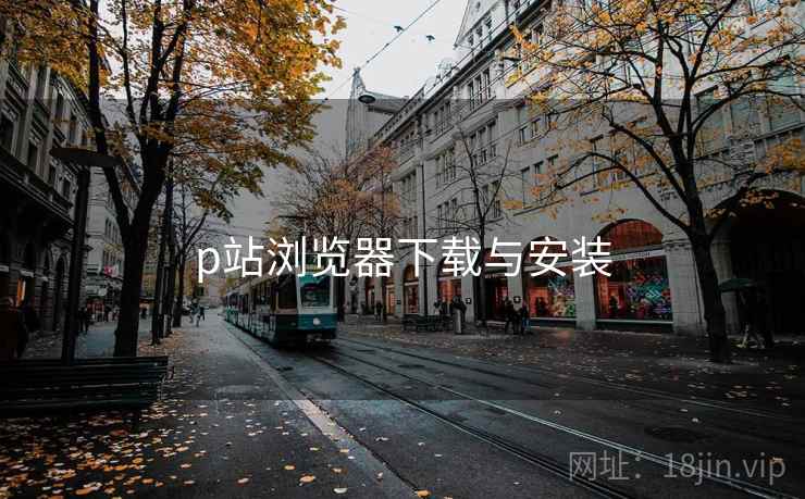 p站浏览器下载与安装 第1张 p站浏览器下载与安装 第1张
