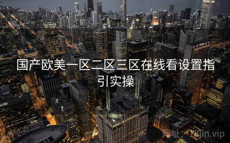 国产欧美一区二区三区在线看设置指引实操 第1张 国产欧美一区二区三区在线看设置指引实操 第1张