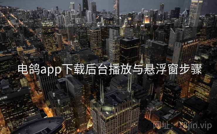 电鸽app下载后台播放与悬浮窗步骤 第2张 电鸽app下载后台播放与悬浮窗步骤 第2张
